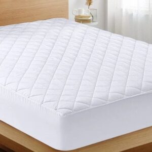 Mattress Protector
