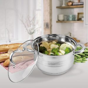 Stainless steel cookware set