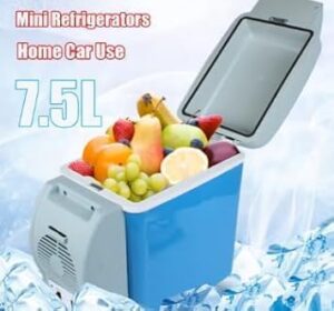 Portable mini car refrigerator/cooler