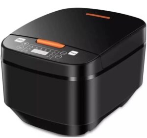 World Electric Rice Cooker